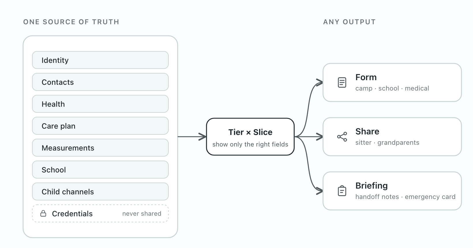 One source of truth — the eight buckets, with Credentials walled off — flowing through a tier-and-slice filter into three outputs: a form, a share, and a briefing